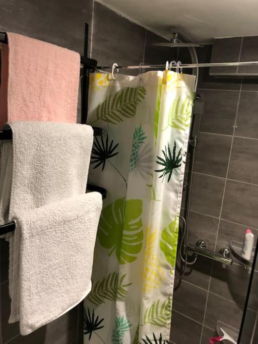 Superbe Appartement Meuble Refait A Neuf Tricastin ピエールラット エクステリア 写真